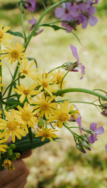 Groene Inspiratiemarkt: lustrumeditie vol duurzame ideeën