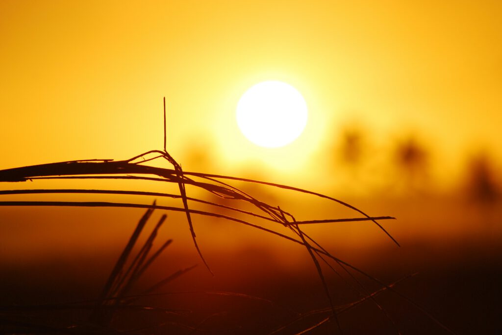 Groene Hart zomertips: koel wonen, slim watergebruik én natuurbeleving