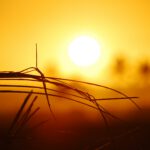 Word mede-eigenaar van lokale zonne-energie