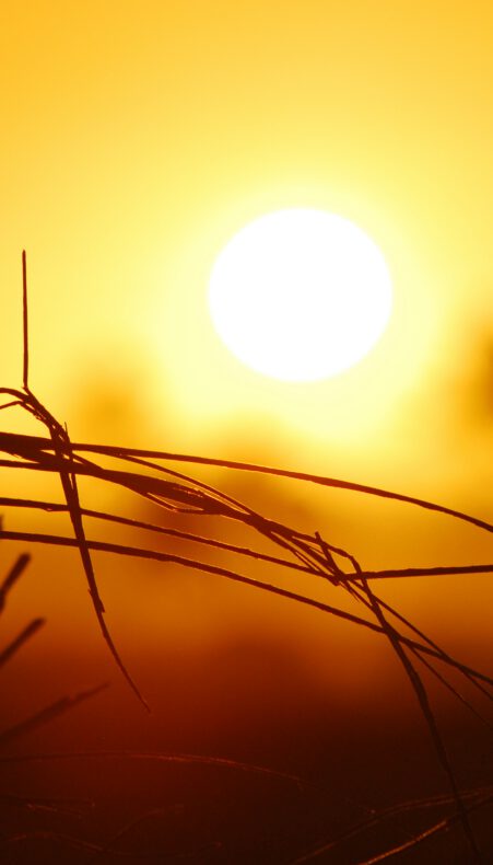 Groene Hart zomertips: koel wonen, slim watergebruik én natuurbeleving