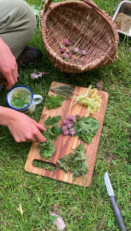 Van kruiden tot noten: ga mee op wildpluktocht in Bodegraven