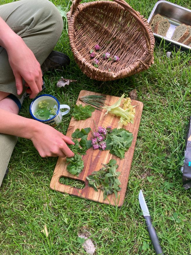 Van kruiden tot noten: ga mee op wildpluktocht in Bodegraven