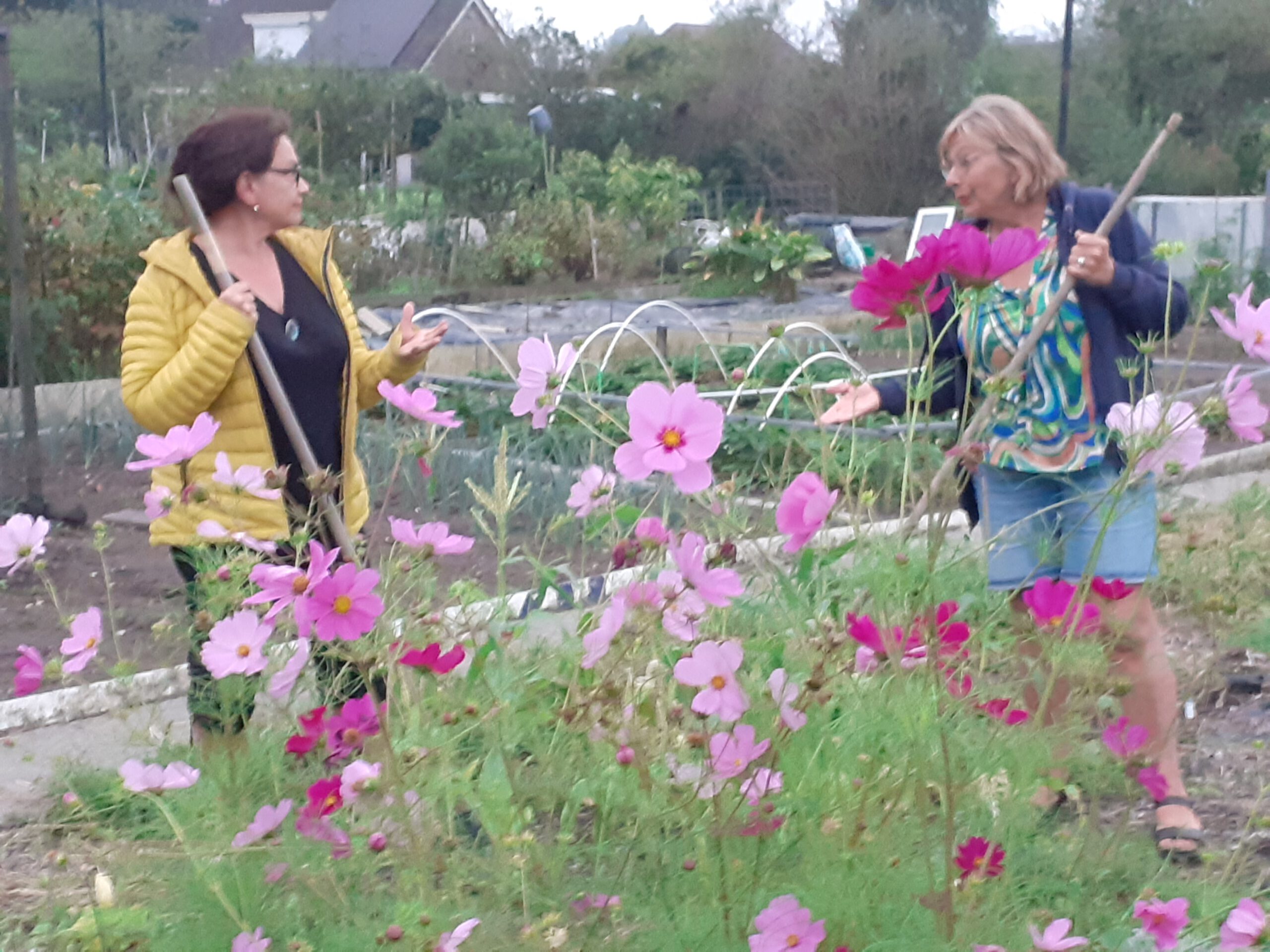 Gratis inspiratieavond: begin je eigen buurttuin