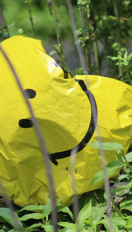 Hoe verminderen we honderdduizenden kilo’s zwerfafval in het Groene Hart?
