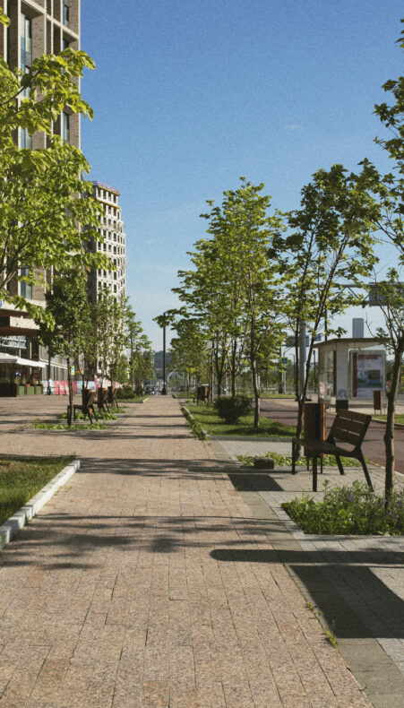GROENE KANSEN IN ALPHEN AAN DEN RIJN