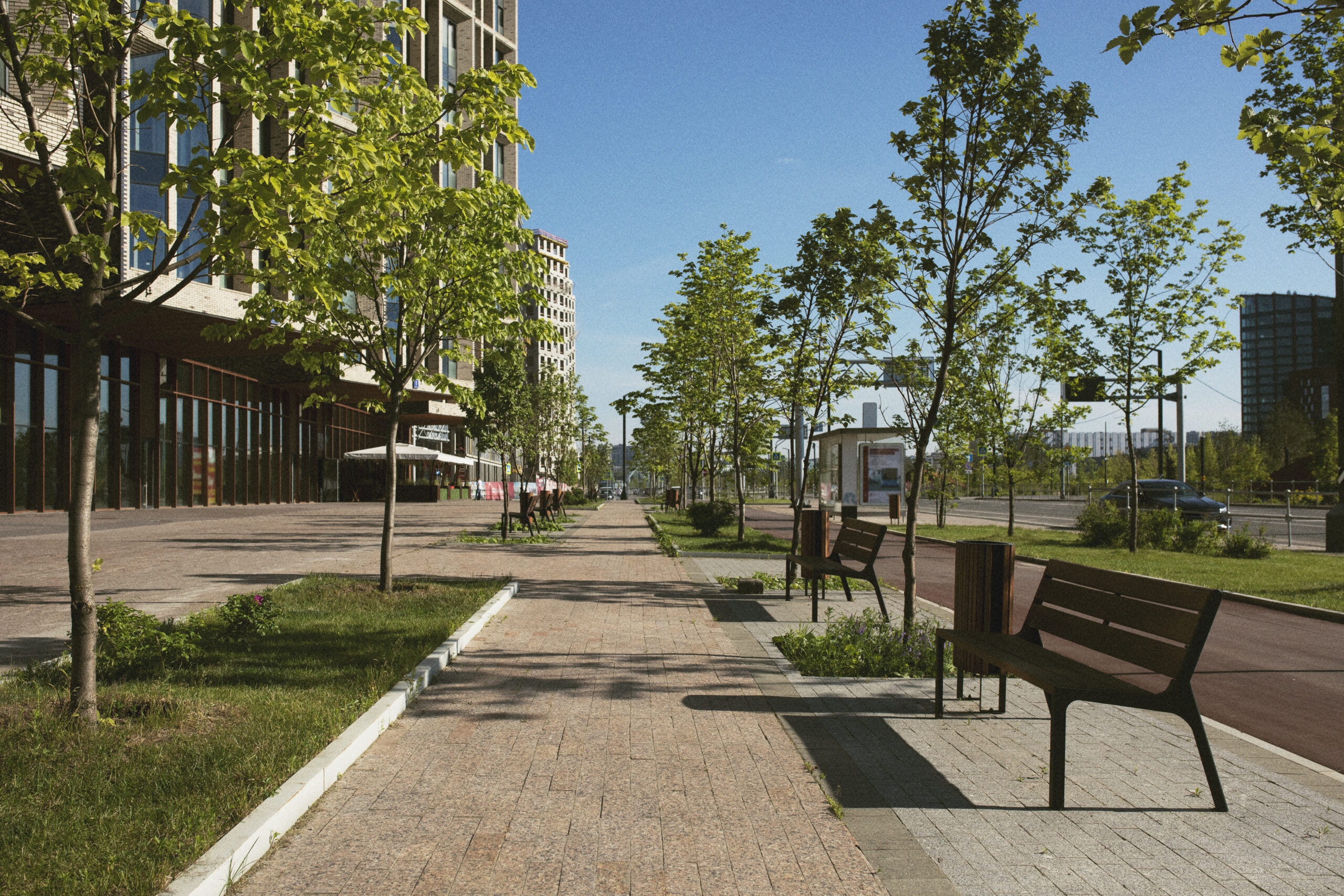 GROENE KANSEN IN ALPHEN AAN DEN RIJN
