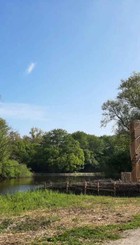 Publiekswandeling door het Lage Bergse Bos