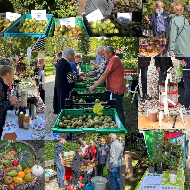 Vier de oogst op landgoed Bredius met workshops en lokale producten
