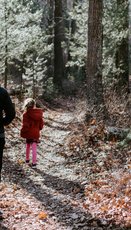 Ontdek de natuur langs het Heempad in Gouda