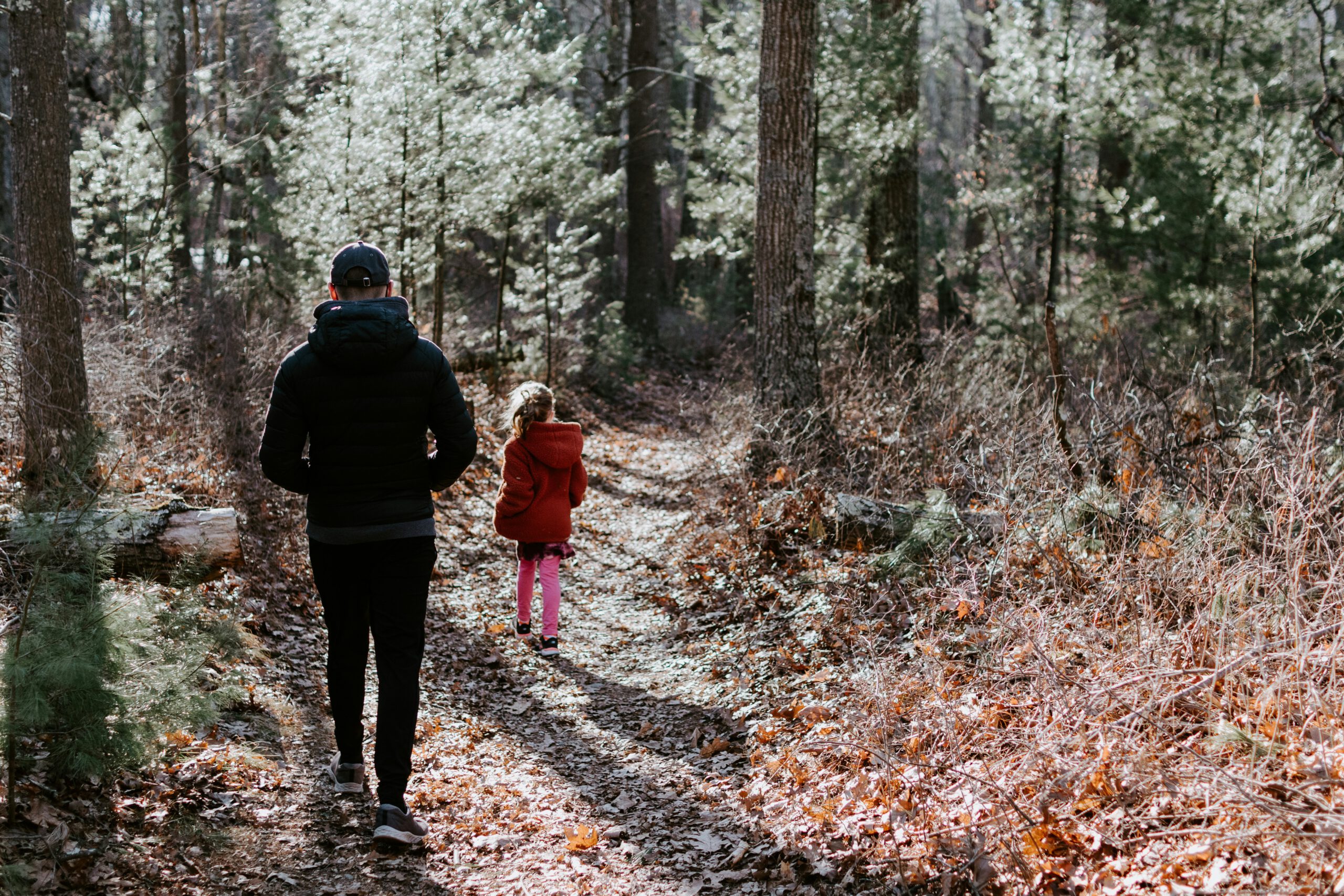 Ontdek de natuur langs het Heempad in Gouda