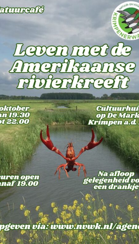 Leer meer over de Amerikaanse rivierkreeft in de Krimpenerwaard