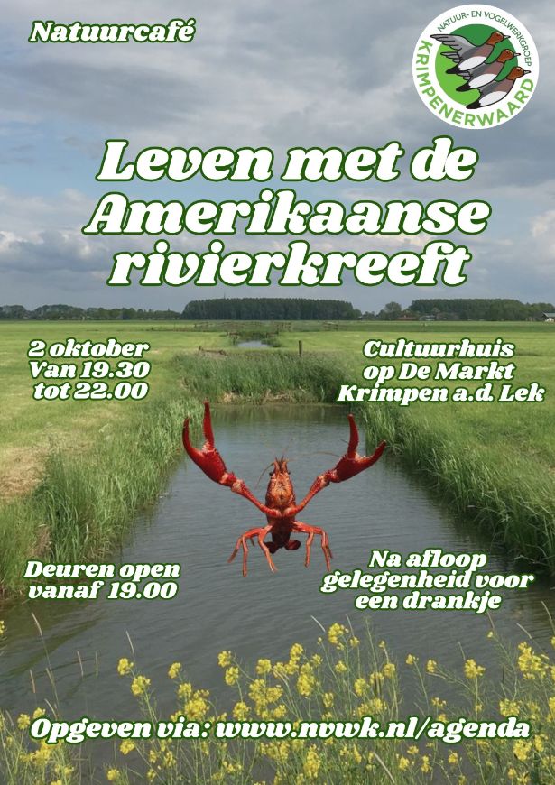 Leer meer over de Amerikaanse rivierkreeft in de Krimpenerwaard