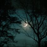 Ontdek de stilte en duisternis tijdens de Nacht van de Nacht