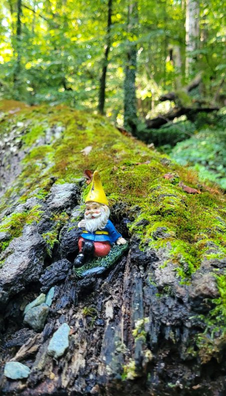 Kabouters in het Bentwoud?!