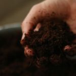 Food.Film.Fest.: Six Inches of Soil