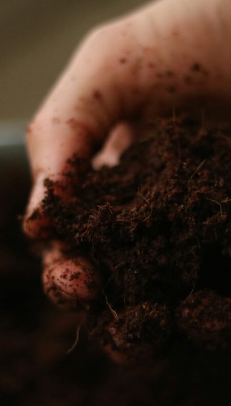 Food.Film.Fest.: Six Inches of Soil