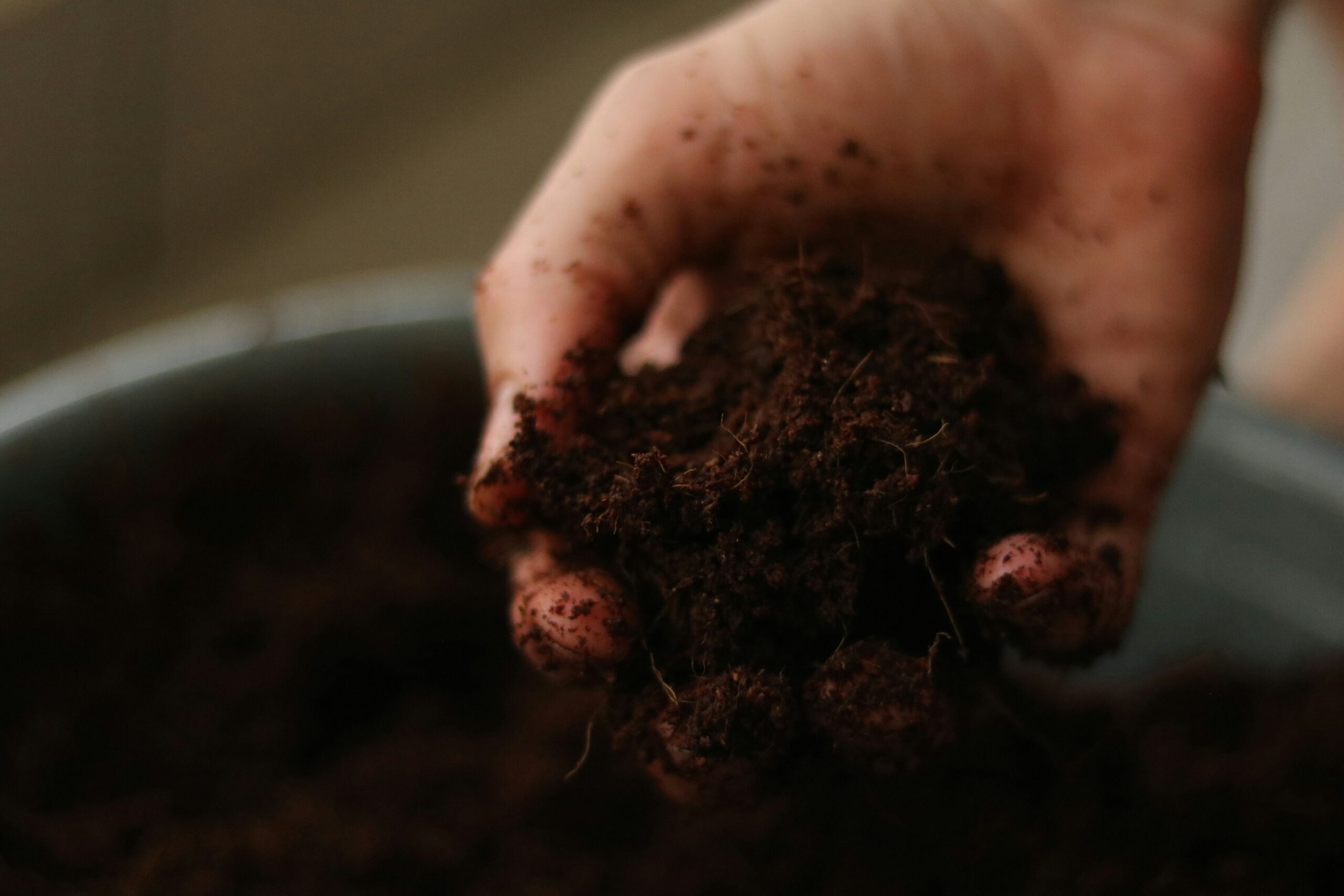 Food.Film.Fest.: Six Inches of Soil