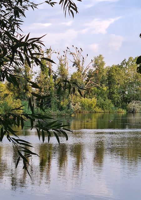 Ontdek de natuur van het Groene Hart: Rotta start inspirerende basiscursus