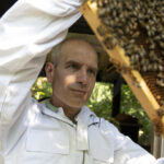 Het verhaal achter honing