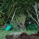 Cursus 'Klimaatbestendig tuinontwerp'