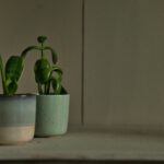 Groene vingers in het Groene Hart