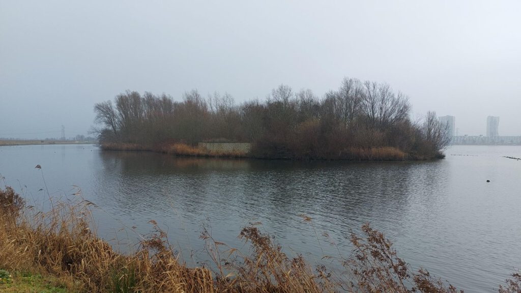 Lopen en leren in het Groene Hart: verwondering bij publiekswandeling Rotta