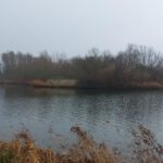 Lopen en leren in het Groene Hart: verwondering bij publiekswandeling Rotta