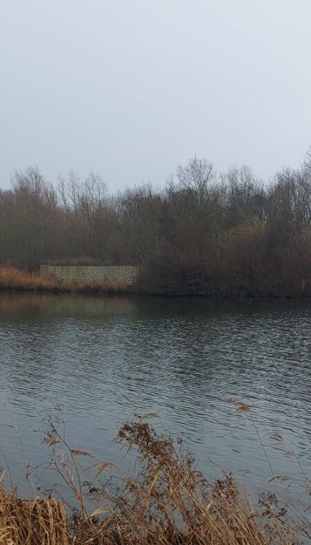 Lopen en leren in het Groene Hart: verwondering bij publiekswandeling Rotta