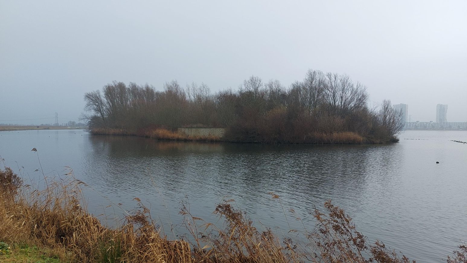 Lopen en leren in het Groene Hart: verwondering bij publiekswandeling Rotta