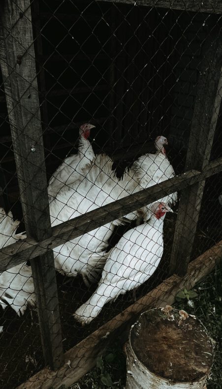 Lezing Jeroen Siebeling – Het bedwelmingsapparaat