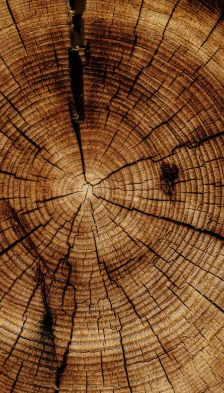 Hout: te waardevol om weg te gooien!