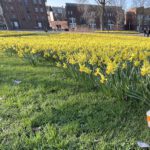 Landelijke Opschoondag Woerden