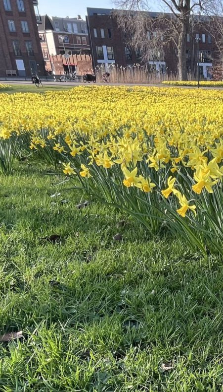 Landelijke Opschoondag Woerden