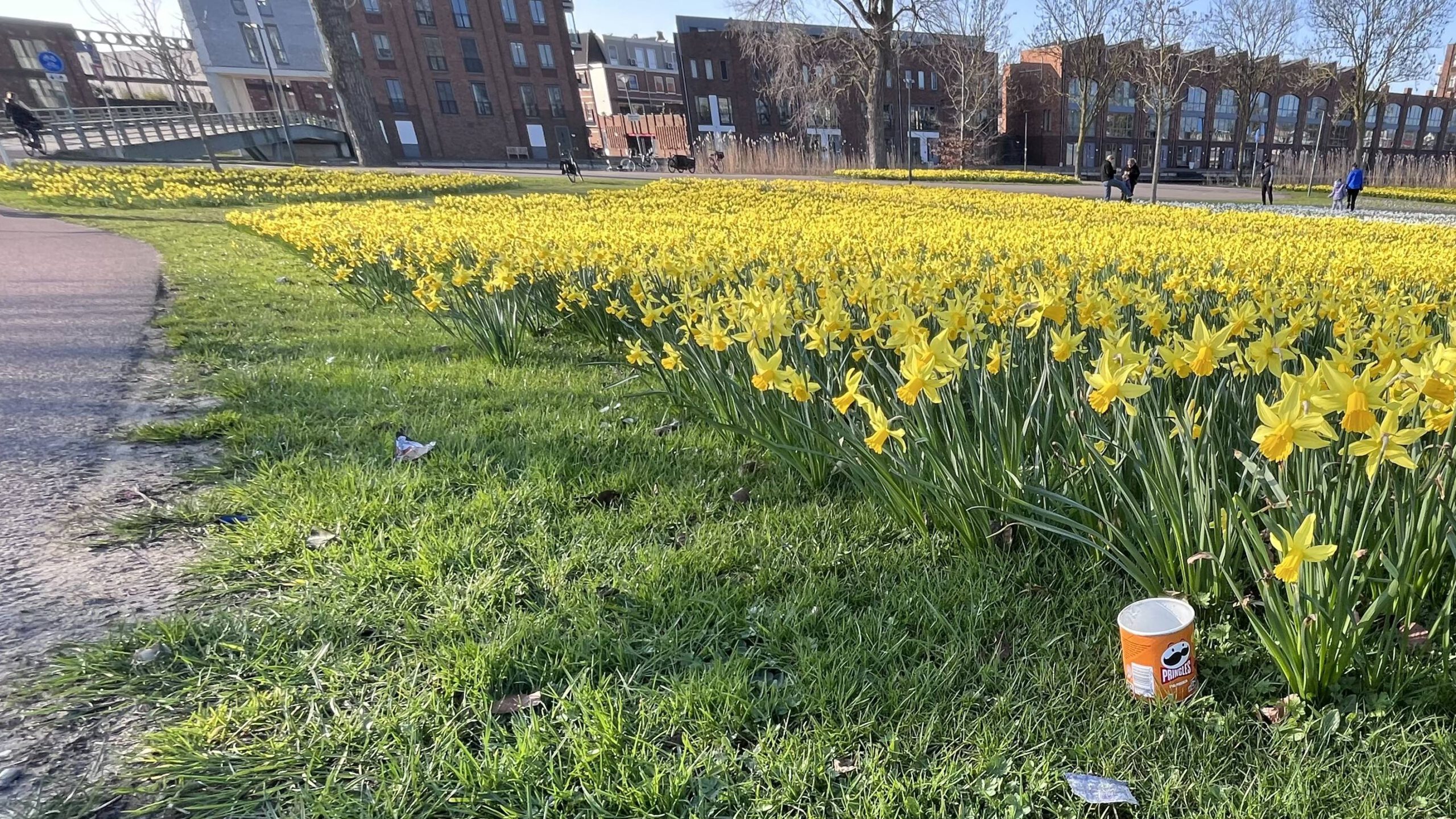 Landelijke Opschoondag Woerden