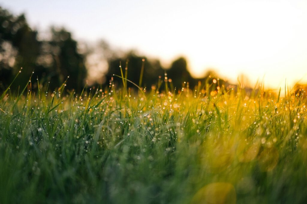 Super hittegolf treft ook het Groene Hart