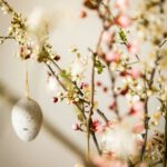 Knutselen met de natuur