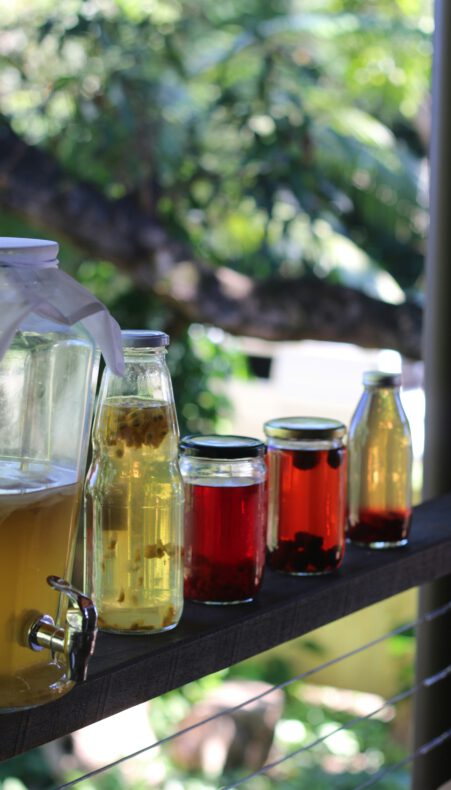 Kombucha maken bij ZonderMeer