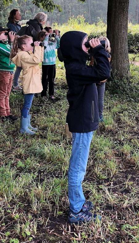 Kinderexcursie vogels kijken in De Wiebertjes