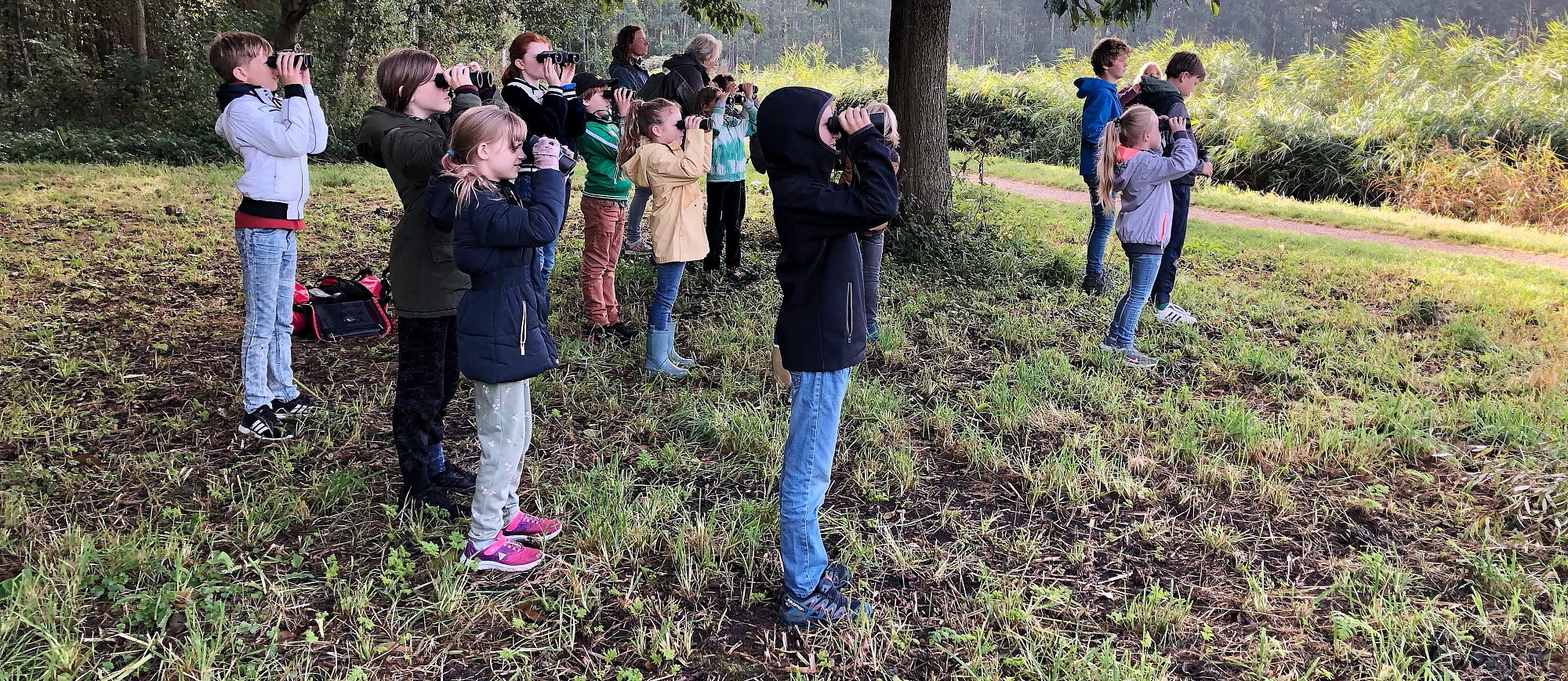 Kinderexcursie vogels kijken in De Wiebertjes