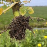 Lezing Land van Ons: samen werken aan natuurherstel