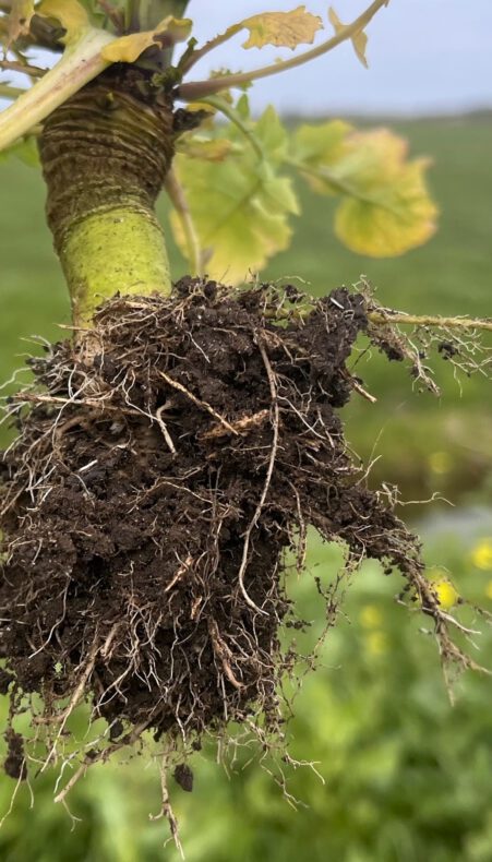 Lezing Land van Ons: samen werken aan natuurherstel