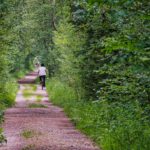 Fietstocht naar Bentwoud
