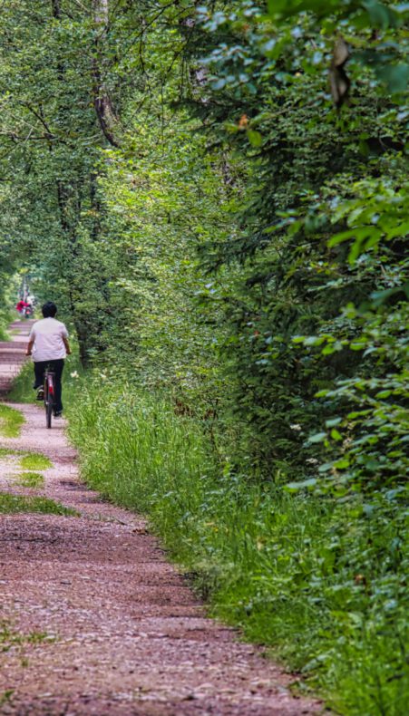 Fietstocht naar Bentwoud