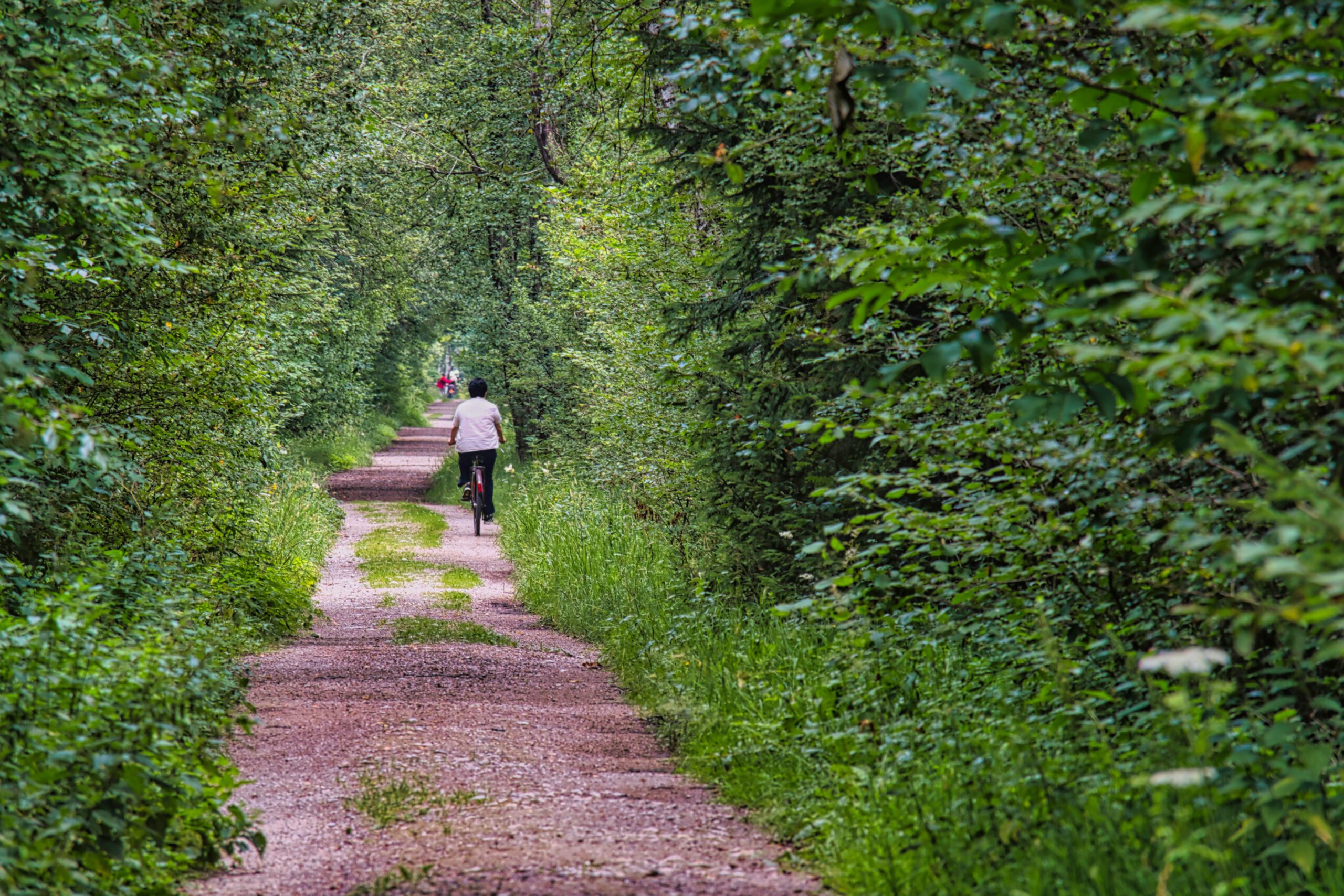 Fietstocht naar Bentwoud