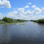 Excursie met het Zonneveer in Nieuwkoop
