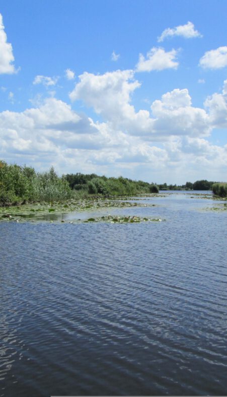 Excursie met het Zonneveer in Nieuwkoop