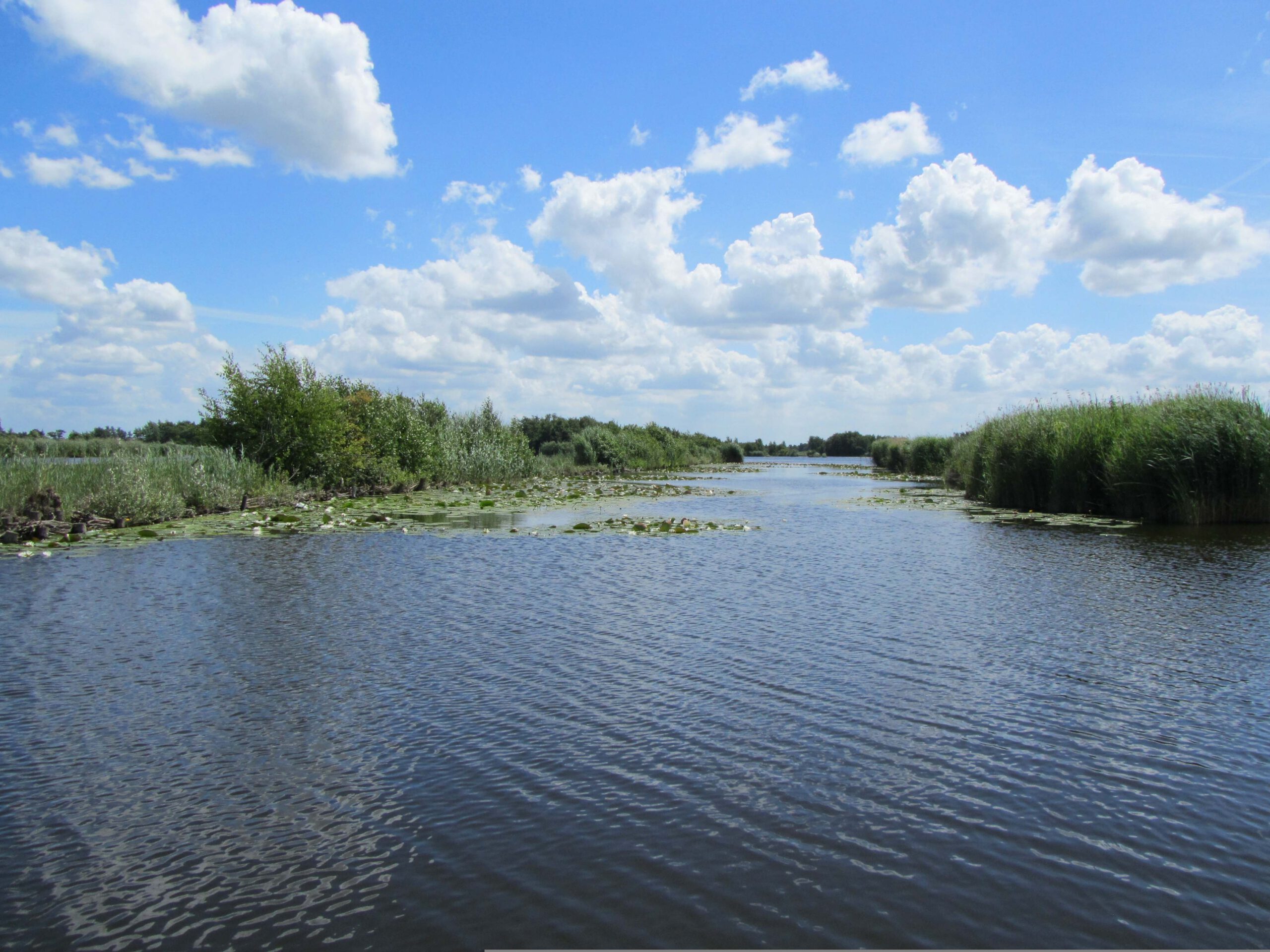 Excursie met het Zonneveer in Nieuwkoop
