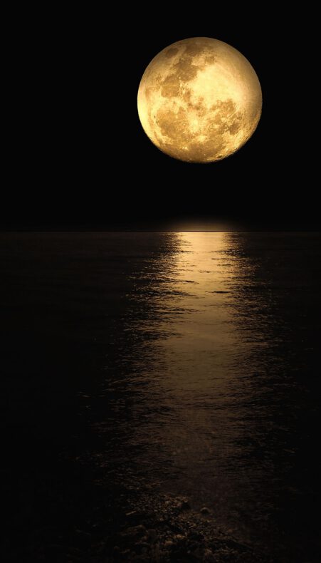Vaartocht bij volle maan op de Nieuwkoopse Plassen