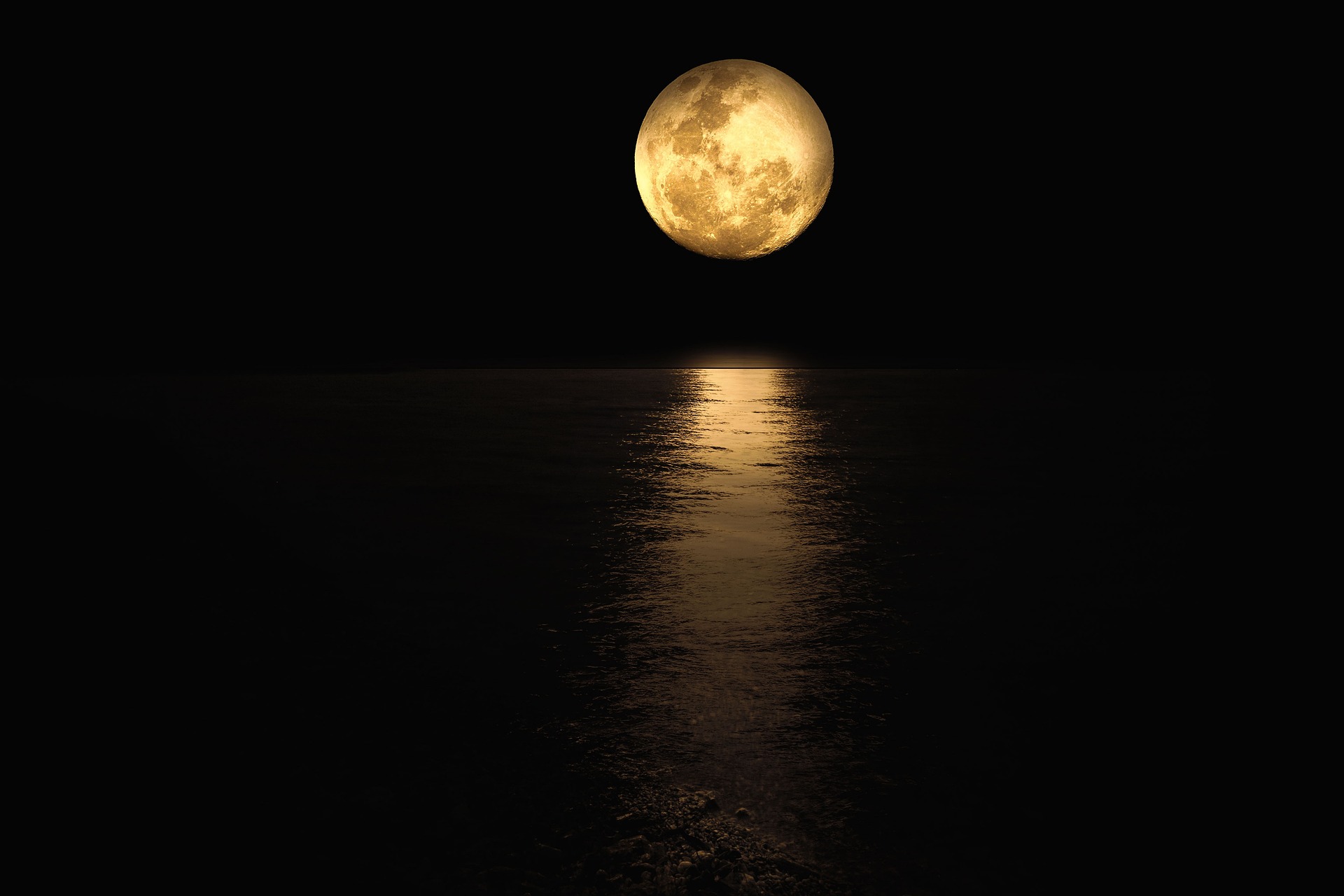 Vaartocht bij volle maan op de Nieuwkoopse Plassen