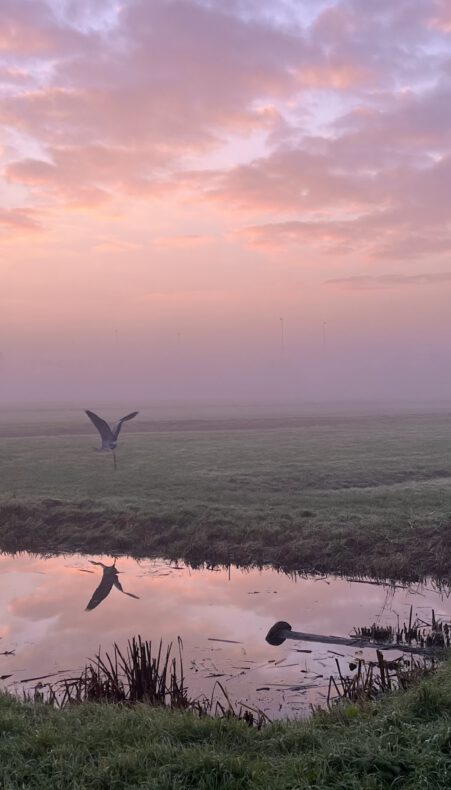 “Het vergeten leven van Nederland”